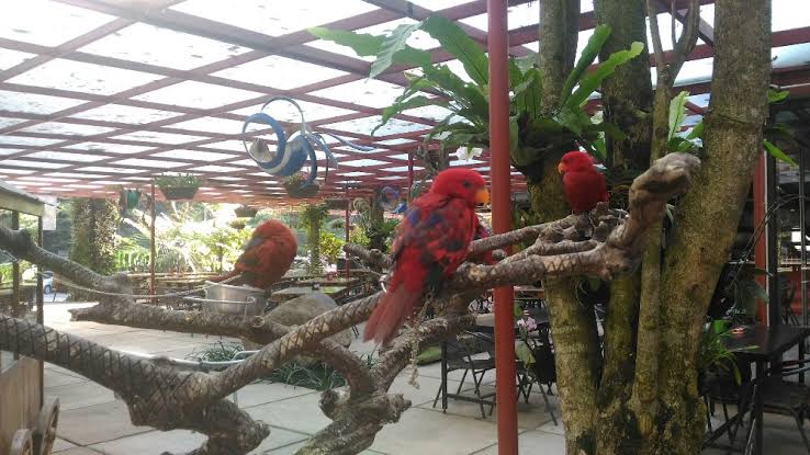 10 Tempat Wisata Kekinian dan Terfavorit di Sekitar Dago Bandung 10