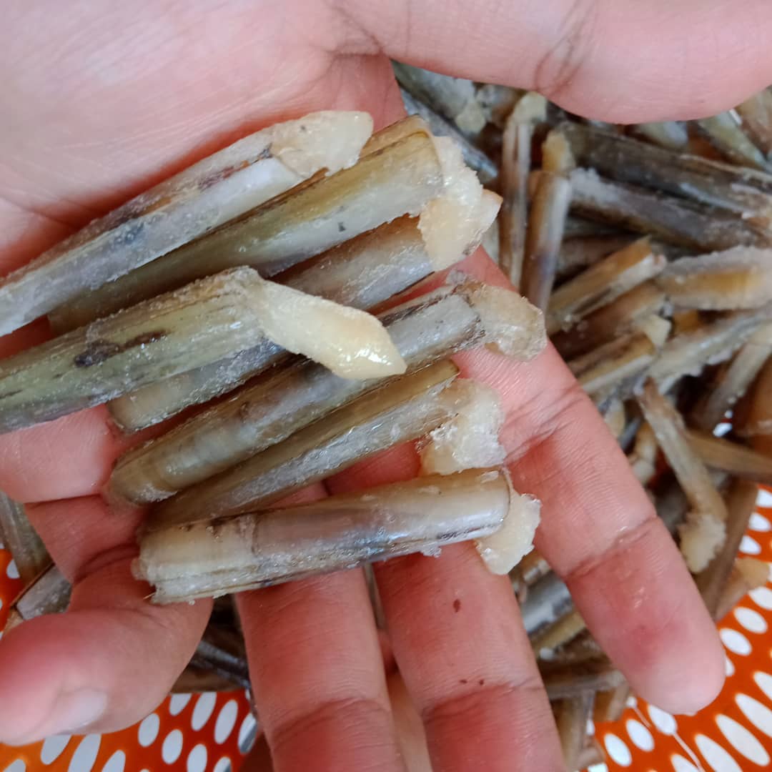 Cicipi Enaknya Kuliner Lorjuk Campur, Seafood Asal Madura Yang Langka 5 Cicipi Enaknya Kuliner Lorjuk Campur, Seafood Asal Madura Yang Langka 5