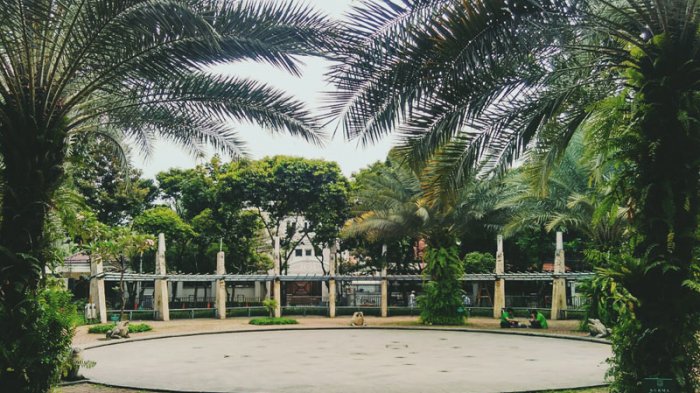 10 Daftar Pilihan Taman Wisata di Daerah Jakarta Pusat Yang Paling Cocok Untuk Menenangan Diri 8 10 Daftar Pilihan Taman Wisata di Daerah Jakarta Pusat Yang Paling Cocok Untuk Menenangan Diri 7