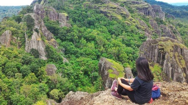 Tak Hanya Cantik, 10 Kebun Bunga Matahari di Indonesia Ini Instagenic Banget 7
