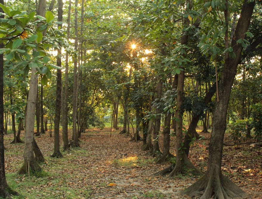 10 Daftar Pilihan Taman di Daerah Cikarang Yang Cantik dan Indah, Wajib Kalian Kunjungi! 5 10 Daftar Pilihan Taman di Daerah Cikarang Yang Cantik dan Indah, Wajib Kalian Kunjungi! 5