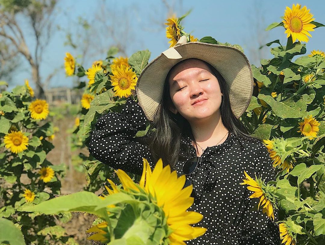 8 Kebun Bunga Matahari di Indonesia 5