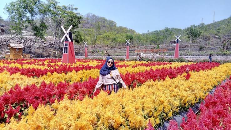 6 Taman Bunga Celosia di Jogja, Pilihan Tepat Buat Liburan 8 6 Taman Bunga Celosia di Jogja, Pilihan Tepat Buat Liburan 8