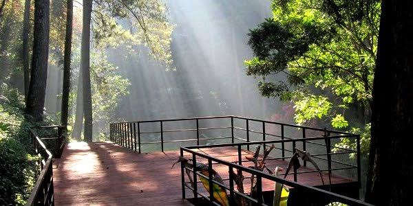 10 Tempat Wisata Kekinian dan Terfavorit di Sekitar Dago Bandung 6