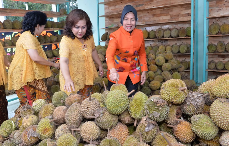 10 Kedai Durian Paling Top dan Terkenal di Medan 6