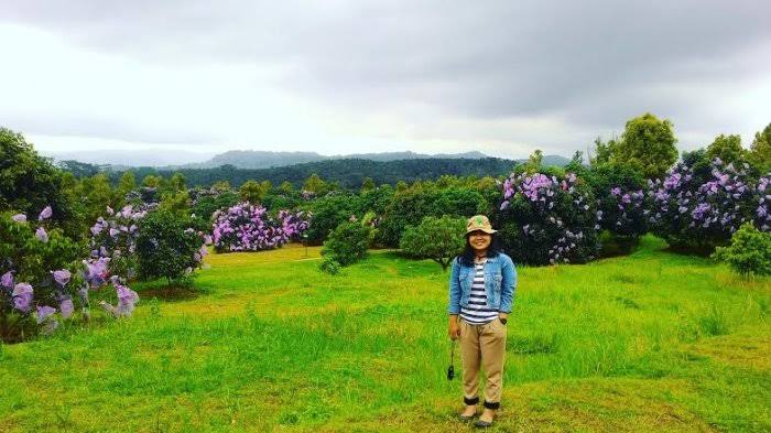 Ini Dia 10 Tempat Wisata Kece di Bandungan Semarang 5 Ini Dia 10 Tempat Wisata Kece di Bandungan Semarang 5