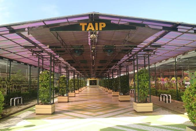 10 Rekomendasi Taman Daerah Jakarta Timur Ini Cocok Bangat Buat Kalian Yang Mau Menenangkan Diri 3 10 Rekomendasi Taman Daerah Jakarta Timur Ini Cocok Bangat Buat Kalian Yang Mau Menenangkan Diri 3