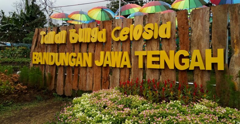 Ini Dia 10 Tempat Wisata Kece di Bandungan Semarang 3 Ini Dia 10 Tempat Wisata Kece di Bandungan Semarang 3
