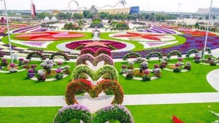 Tak Hanya Cantik, 10 Kebun Bunga Matahari di Indonesia Ini Instagenic Banget 6