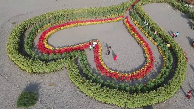 6 Taman Bunga Celosia di Jogja, Pilihan Tepat Buat Liburan 9 6 Taman Bunga Celosia di Jogja, Pilihan Tepat Buat Liburan 9