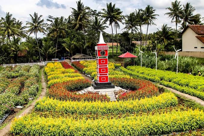 6 Taman Bunga Celosia di Jogja, Pilihan Tepat Buat Liburan 5 6 Taman Bunga Celosia di Jogja, Pilihan Tepat Buat Liburan 5