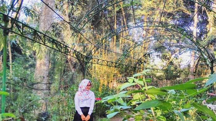 10 Referensi Taman Paling Cantik Daerah Bandar Lampung, Salah Satunya Bisa Lihat Ikan Nemo Loh! 2 10 Referensi Taman Paling Cantik Daerah Bandar Lampung, Salah Satunya Bisa Lihat Ikan Nemo Loh! 2