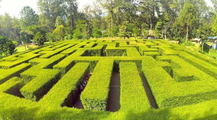 10 Daftar Pilihan Taman di Daerah Malang Yang Kece Abis, Cocok Banget Buat Hangout 7 10 Daftar Pilihan Taman di Daerah Malang Yang Kece Abis, Cocok Banget Buat Hangout 7