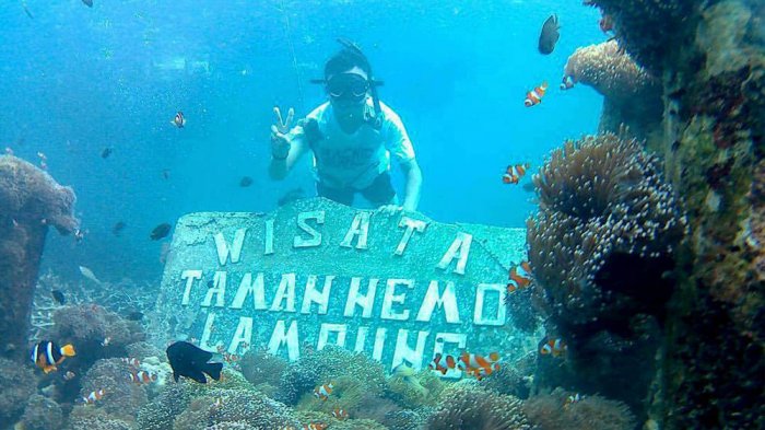 10 Referensi Taman Paling Cantik Daerah Bandar Lampung, Salah Satunya Bisa Lihat Ikan Nemo Loh! 10 10 Referensi Taman Paling Cantik Daerah Bandar Lampung, Salah Satunya Bisa Lihat Ikan Nemo Loh! 10