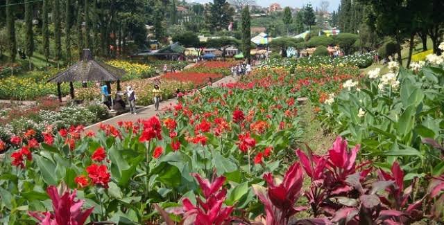 10 Daftar Pilihan Taman di Daerah Malang Yang Kece Abis, Cocok Banget Buat Hangout 5 10 Daftar Pilihan Taman di Daerah Malang Yang Kece Abis, Cocok Banget Buat Hangout 5