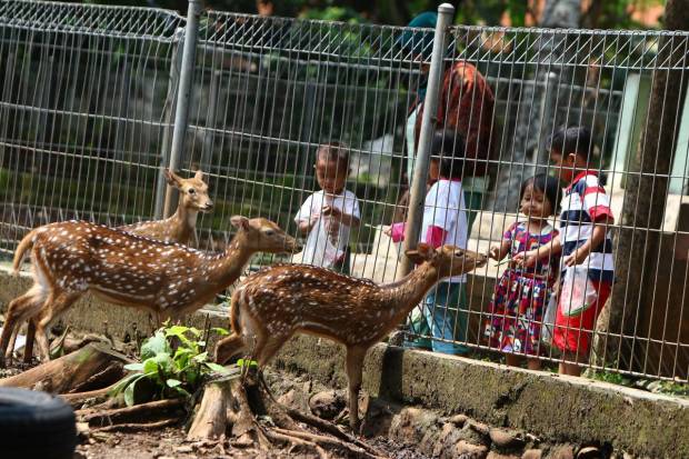 10 Rekomendasi Taman Daerah Jakarta Timur Ini Cocok Bangat Buat Kalian Yang Mau Menenangkan Diri 8 10 Rekomendasi Taman Daerah Jakarta Timur Ini Cocok Bangat Buat Kalian Yang Mau Menenangkan Diri 8