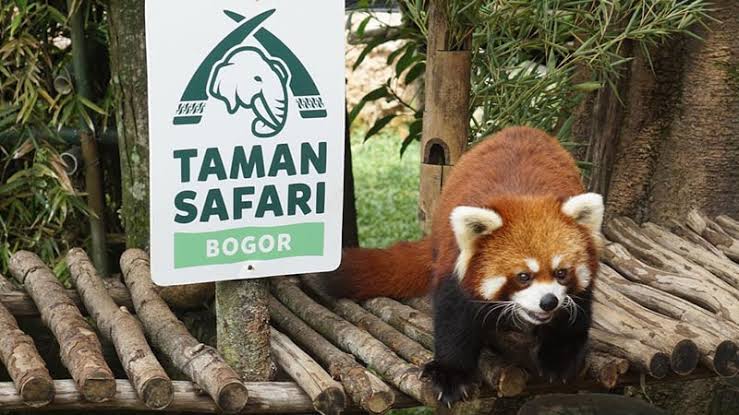 10 Daftar Pilihan Taman Wisata di Bogor Yang Recommended Buat Kamu Kunjungi Untuk Memanjakan Mata 1 10 Daftar Pilihan Taman Wisata di Bogor Yang Recommended Buat Kamu Kunjungi Untuk Memanjakan Mata 1