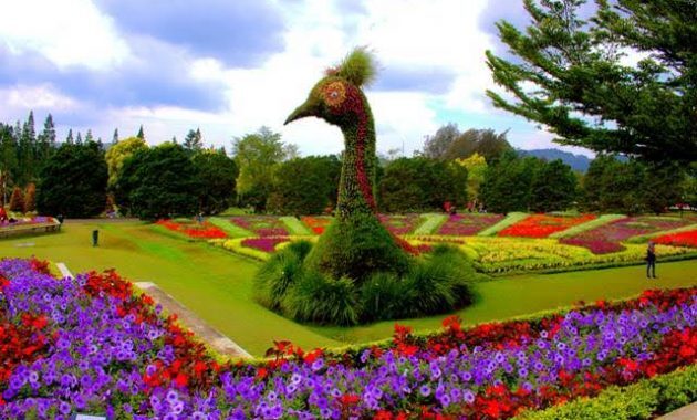 10 Daftar Pilihan Taman Wisata di Bogor Yang Recommended Buat Kamu Kunjungi Untuk Memanjakan Mata 7