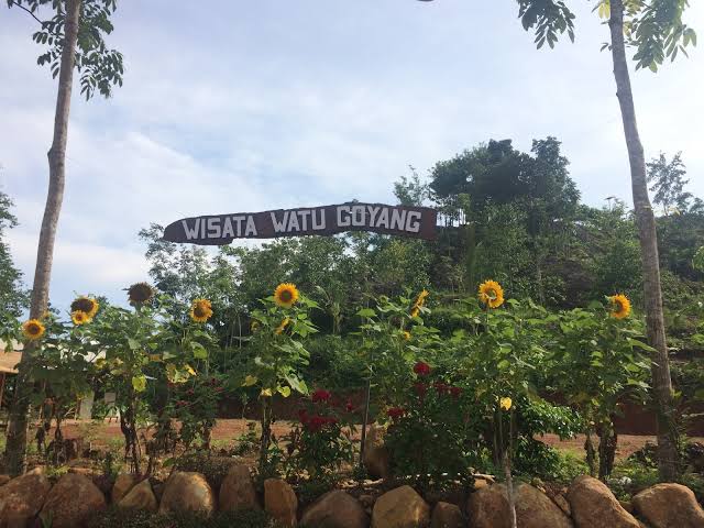 Tak Hanya Cantik, 10 Kebun Bunga Matahari di Indonesia Ini Instagenic Banget 8