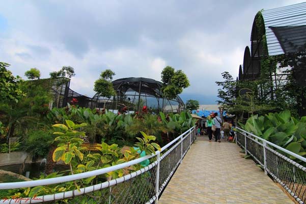 Indahnya Wisata Eco Green Park Batu 3