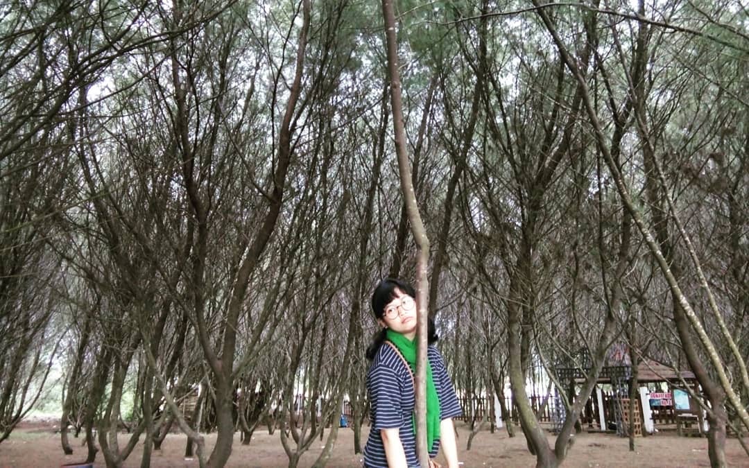 Pantai Cemara di Banyuwangi 5