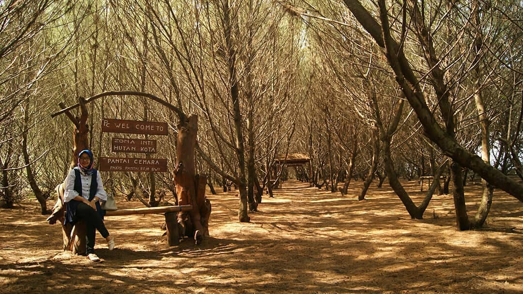 Pantai Cemara di Banyuwangi 7