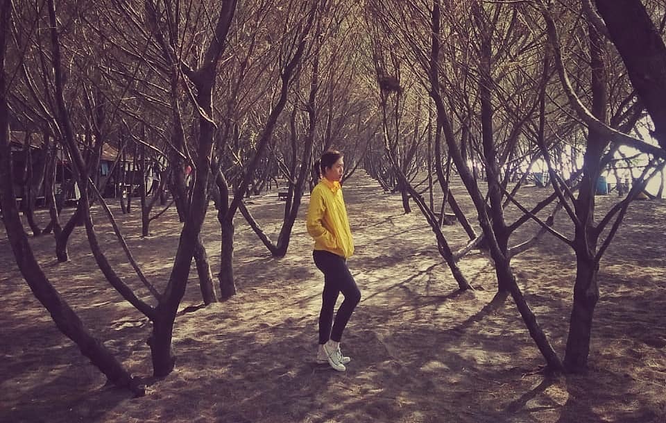 Pantai Cemara di Banyuwangi 4