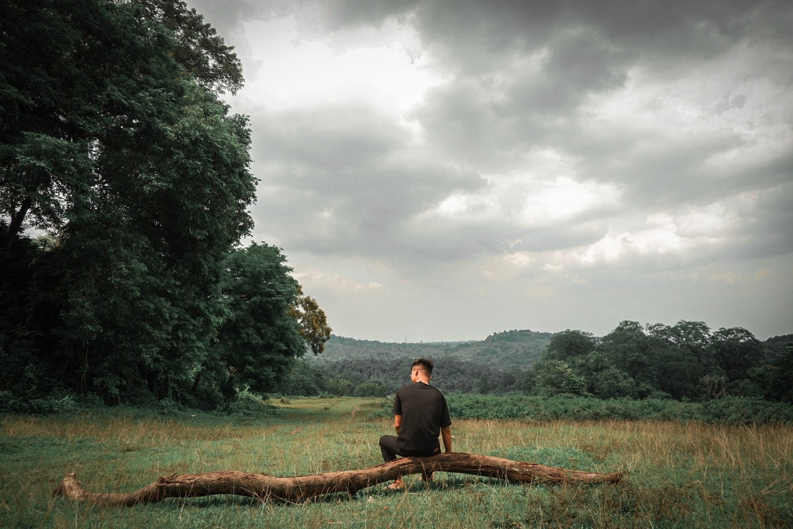 Usir Penat Dengan Berkemah di Hutan Penggaron 4 Usir Penat Dengan Berkemah di Hutan Penggaron 4