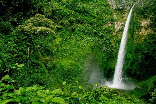 Wisata Air Terjun Kalipancur di Wilayah Semarang, Defisini Back To Nature Yang Sesungguhnya 2