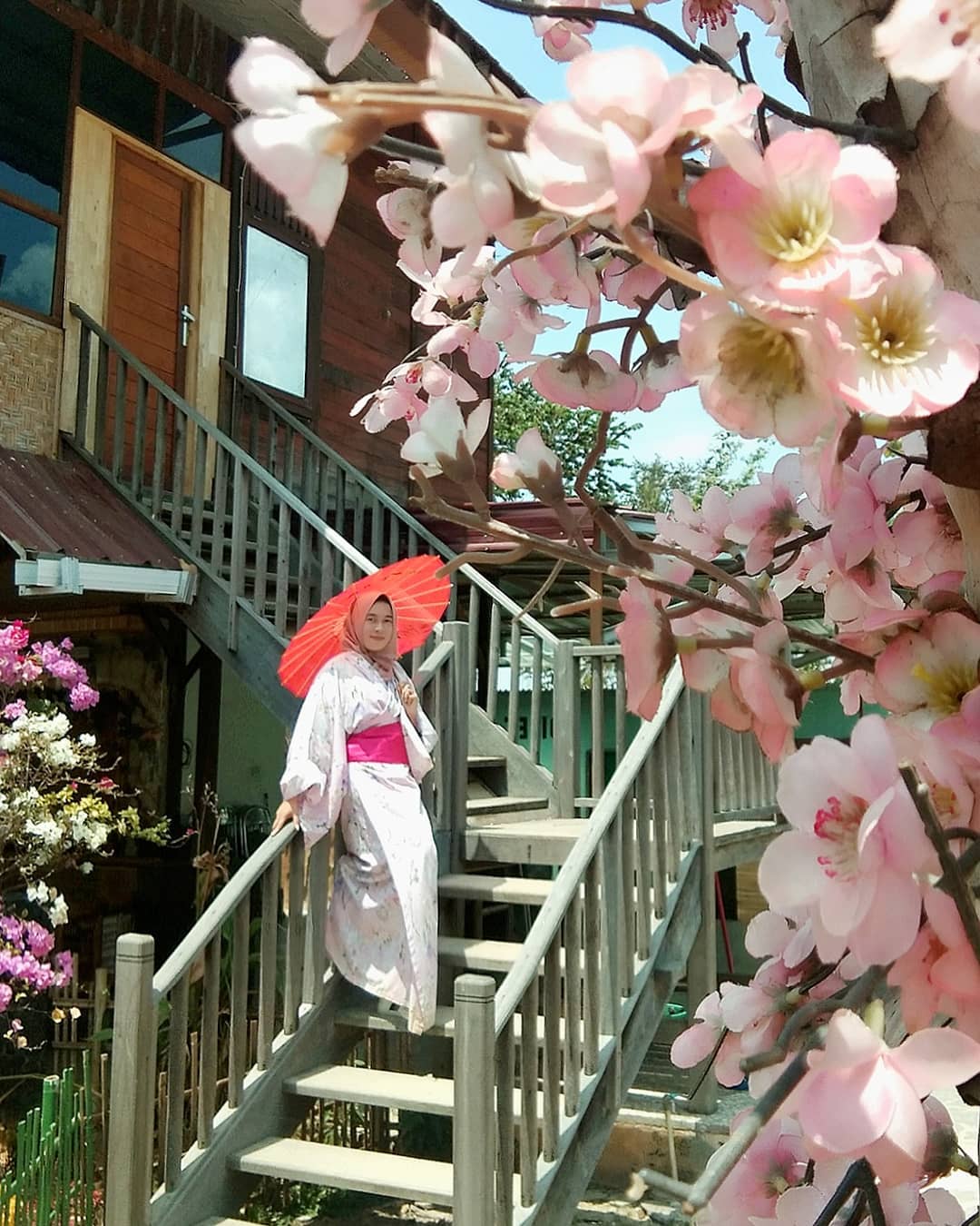 Taman Sakura Lampung, Tempat Rekreasi Sekaligus Selfie yang Sedang Hits 6 Taman Sakura Lampung, Tempat Rekreasi Sekaligus Selfie yang Sedang Hits 6