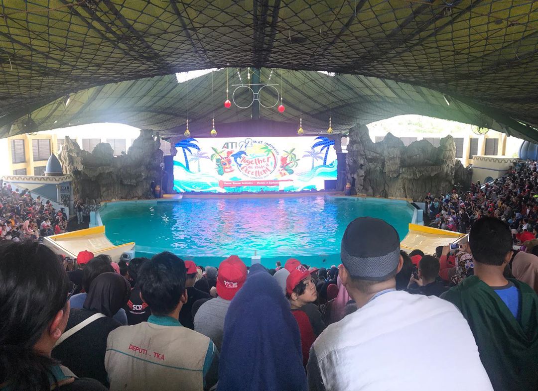 Liburan Keluarga Seru di Jakarta, Solusinya Ya Gelanggang Samudra Ancol 3 Liburan Keluarga Seru di Jakarta, Solusinya Ya Gelanggang Samudra Ancol 3