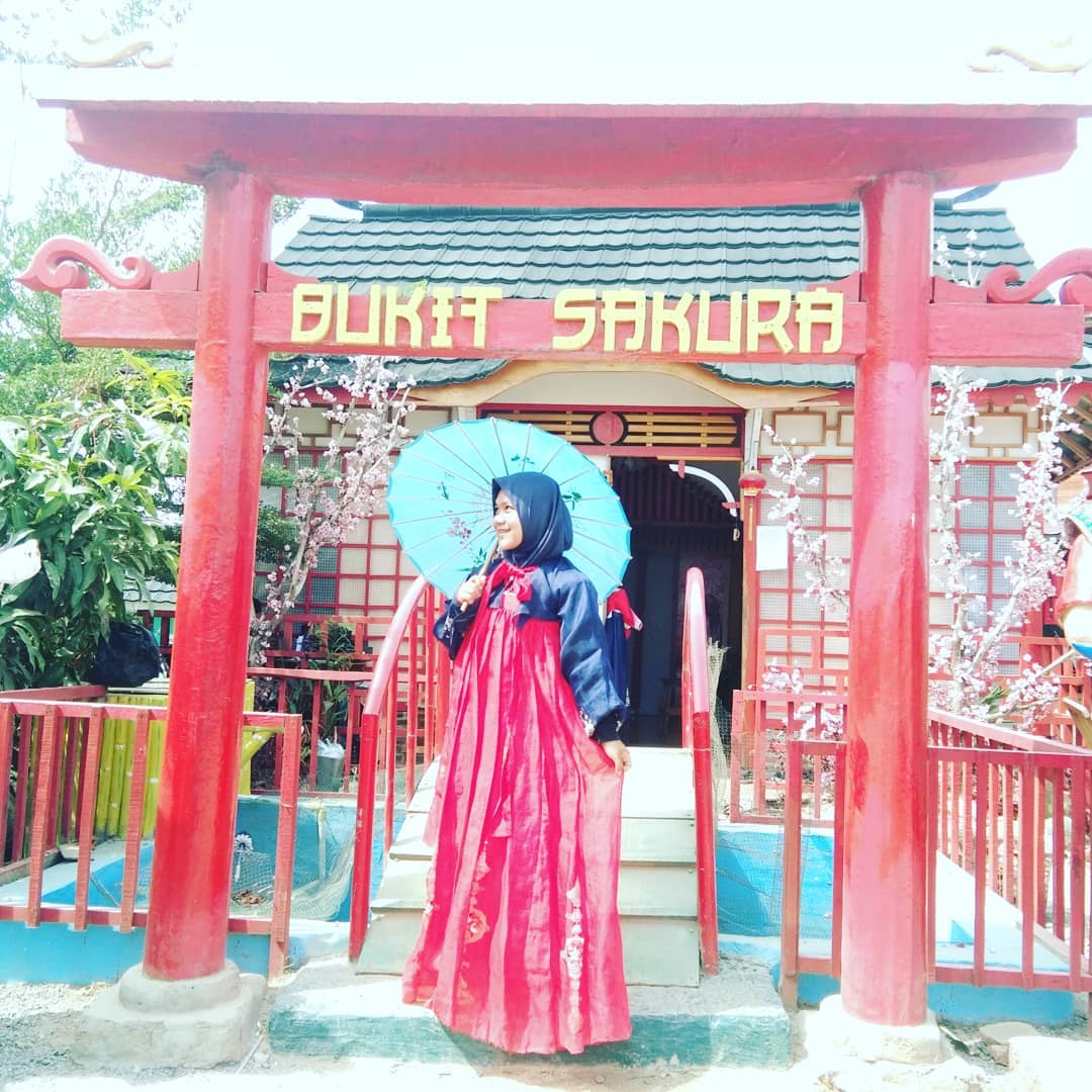 Taman Sakura Lampung, Tempat Rekreasi Sekaligus Selfie yang Sedang Hits 10 Taman sakura bandar lampung tiket masuk bukit kemiling harga sewa baju di lokasi alamat wisata kota 2025