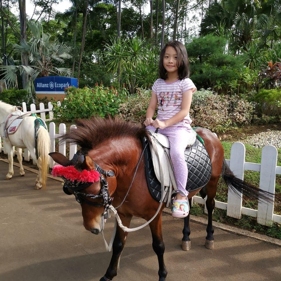 Ecopark Ancol, Perpaduan Antara Adventure dan Edutainment 7