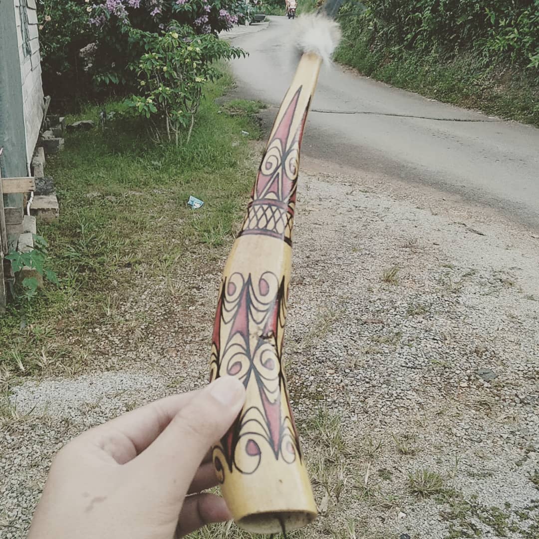 Mengenal Koteka, Kostum Tradisional Asli Papua yang Terancam Punah 9