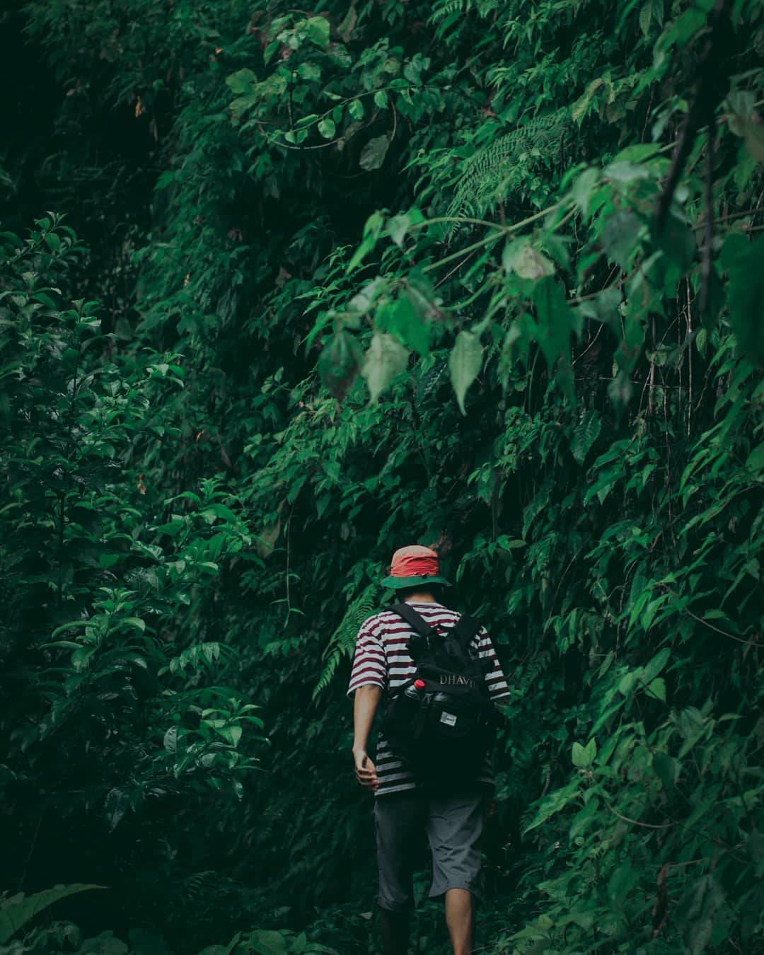 Bak Seperti Kepingan Surga, Ini Dia Potret Coban Cinde Malang 4