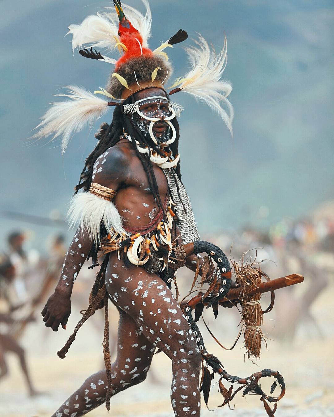 Mengenal Koteka, Kostum Tradisional Asli Papua yang Terancam Punah 7