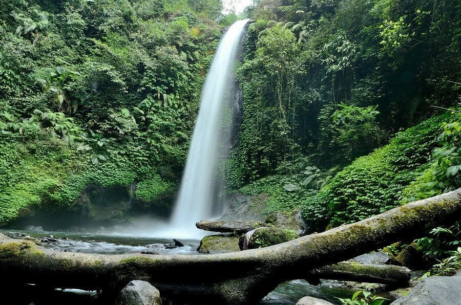 Bak Seperti Kepingan Surga, Ini Dia Potret Coban Cinde Malang 6