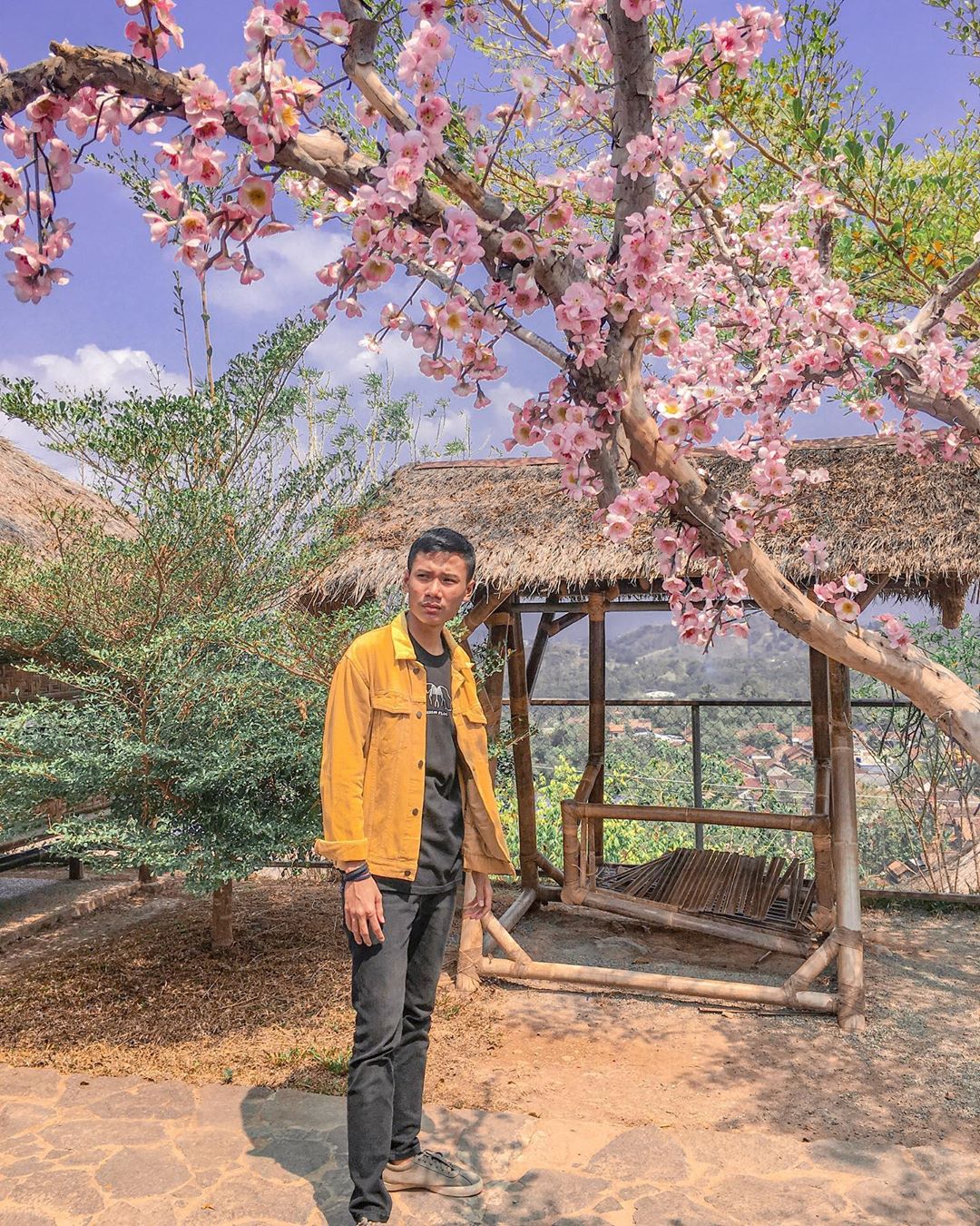 Taman Sakura Lampung, Tempat Rekreasi Sekaligus Selfie yang Sedang Hits 8 Taman Sakura Lampung, Tempat Rekreasi Sekaligus Selfie yang Sedang Hits 8