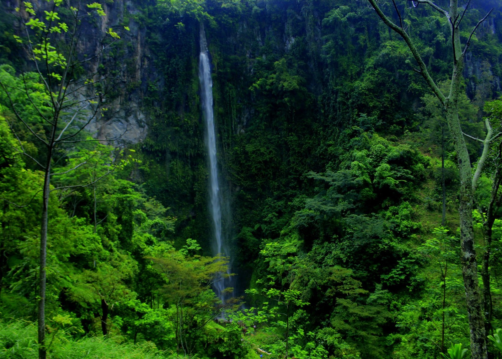 Wisata Air Terjun Kalipancur di Wilayah Semarang, Defisini Back To Nature Yang Sesungguhnya 3
