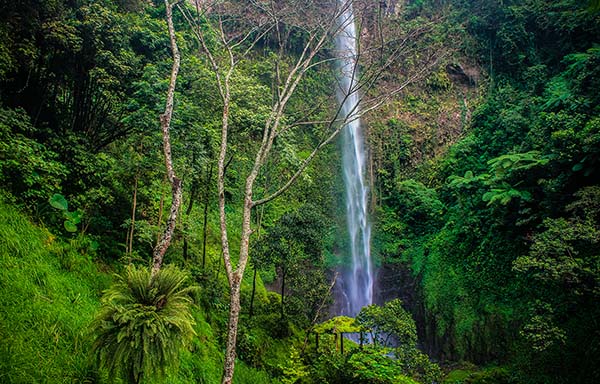 Wisata Air Terjun Kalipancur di Wilayah Semarang, Defisini Back To Nature Yang Sesungguhnya 4