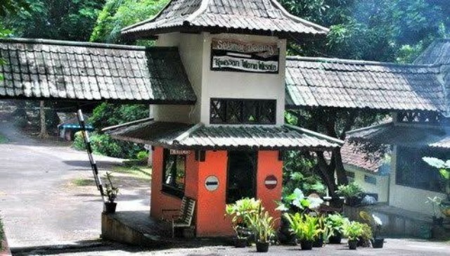 Usir Penat Dengan Berkemah di Hutan Penggaron 1 Usir Penat Dengan Berkemah di Hutan Penggaron 1