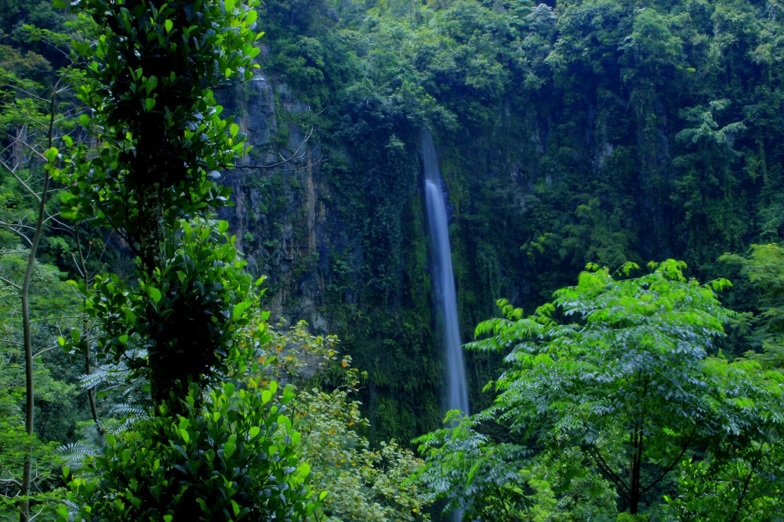 Wisata Air Terjun Kalipancur di Wilayah Semarang, Defisini Back To Nature Yang Sesungguhnya 5