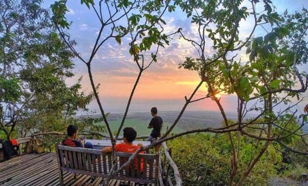Mau Piknik di Tengah Hutan Jati? Coba Ke Watu Lumbung Bantul 4