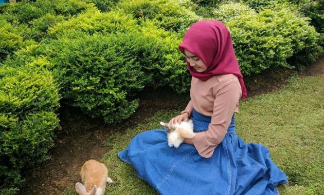 Taman Kelinci Batu, Katanya Mirip Negeri Dongeng? 3