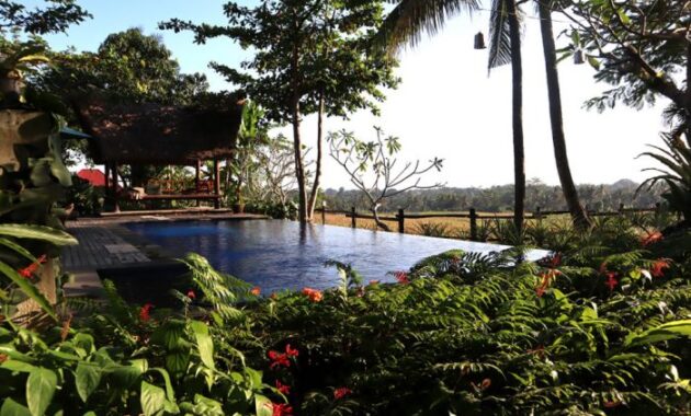 Omah Apik, Staycation Bernuansa Alam Pedesaan di Bali 5 Omah Apik, Staycation Bernuansa Alam Pedesaan di Bali 4