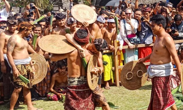 Perang Pandan, Tradisi Desa Tenganan Bali Yang Terkenal di Kalangan Wisatawan 22 Perang Pandan, Tradisi Desa Tenganan Bali Yang Terkenal di Kalangan Wisatawan