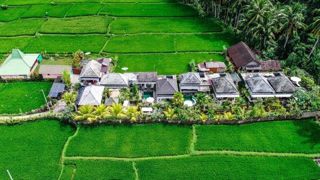10 Pilihan Villa di Daerah Ubud Yang Recommended dan Harganya Murah Mulai Dari Rp.477.090 9 10 Pilihan Villa di Daerah Ubud Yang Recommended dan Harganya Murah Mulai Dari Rp.477.090 9