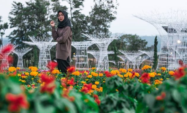Taman Bunga Celosia Bandungan, Wisata Dengan Segudang Spot Foto Instagenic 2 Taman bunga celosia bandungan semarang tiket masuk harga alamat 2021 tempat wisata simo hotel dekat lubuk linggau gedong songo palembang banyuwangi tuban bantul 3 aceh ambarawa amsterdam argoyasa gumiwang banjarnegara jawa tengah singkil adalah linggo asri happy and fun boyolali bukit makmur baubau bengkulu curup calang celosia.Com di dimana banda metro binjai farm foto fasilitas spot gemolong gambar htm instagram jati kulon kudus jl. Gedongsongo beroken candi yogyakarta jam buka jaya kemadang korea kuningan kabupaten gunungkidul kalijambe kartasura kota lampung lamandau lhong lokasi jalan menuju ke malam hari magelang merasi musi rawas medan kibang ngluwar nomor telepon