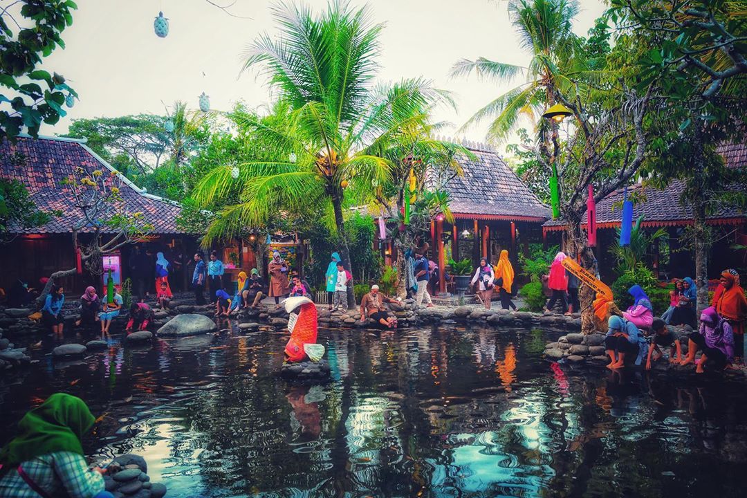 Kampung Flory Jogja, Tempat Wisata Sekaligus Edukasi Agrobisnis 8