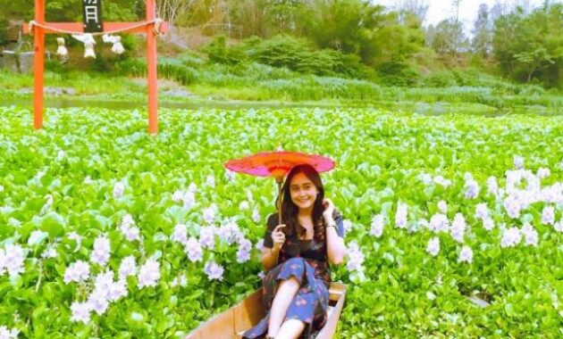 Bak Seperti di Negeri Sakura, Intip Pesona Kalinampu Natural Park Bantul 7 Bak Seperti di Negeri Sakura, Intip Pesona Kalinampu Natural Park Bantul 6